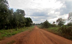 The dirt road heading to Mundri on a Sunday morning at the end of rainy season. | Photo by Will and Theresa Reed
