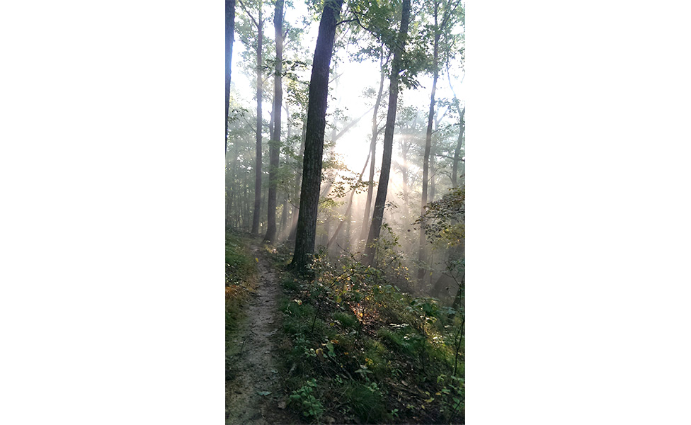 Pate Hollow Trail, located in Paynetown State Recreation Area is Miranda Addonizio's favorite running trail in the area. | Photo by Miranda Addonizio