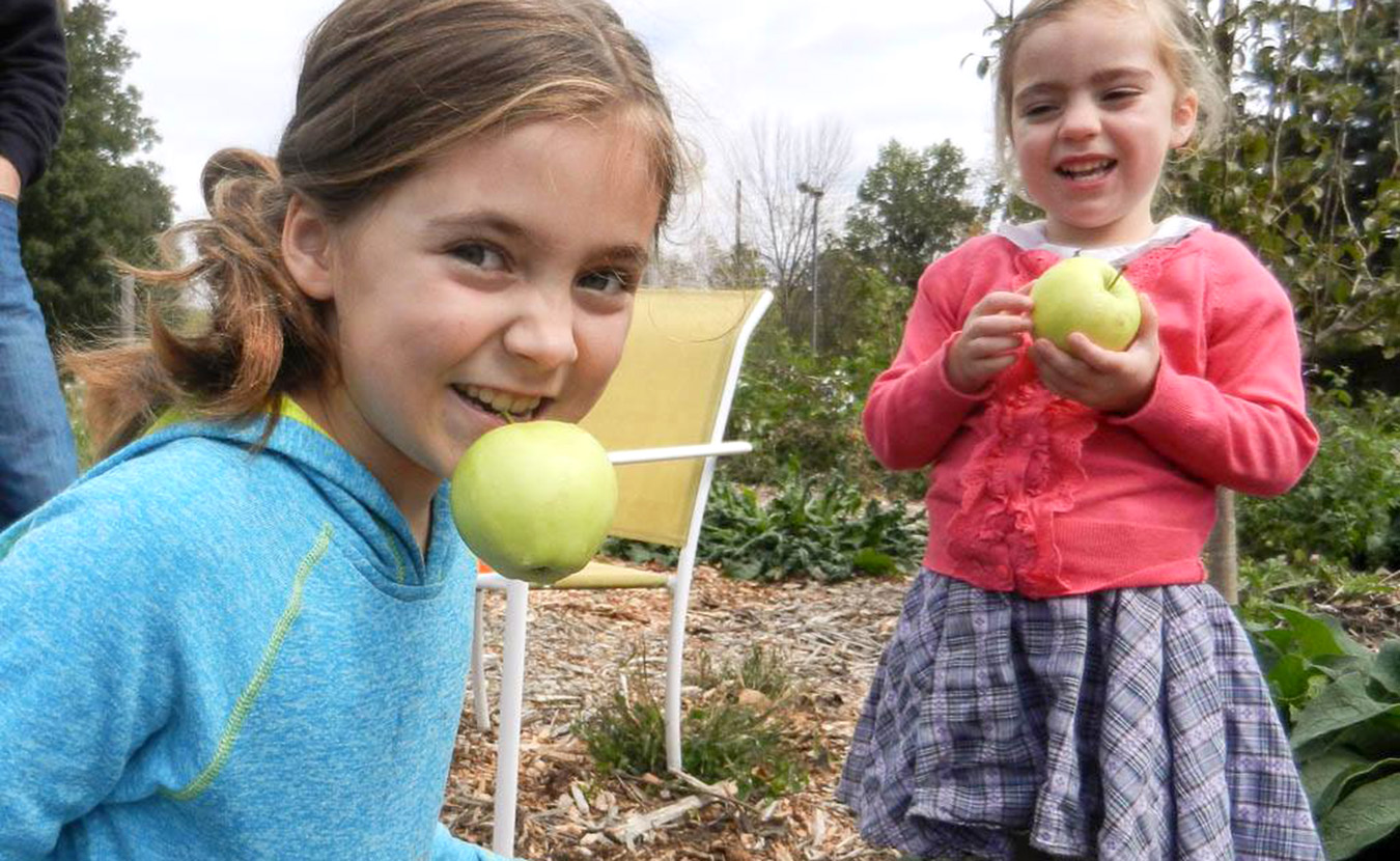 Two young girls bob for apples at a previous Bloomington Community Orchard Cider Fest. | Photo courtesy of Bloomington Community Orchard