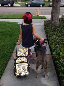 Service dogs provide the confidence and safety needed for individuals to do things they otherwise wouldn't be capable of. In this photo PupCake The Service Dog accompanies "her girl" to her first day of school. | Photo courtesy of PupCake The Service Dog