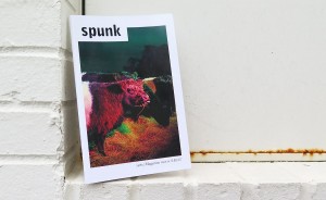 "Spunk no. 10." | Photo by Dason Anderson