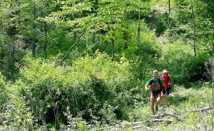 Fastpacking mixes "trail running for fitness and backpacking for pleasure," says adventure-travel writer Michael Waterford. | Courtesy photo