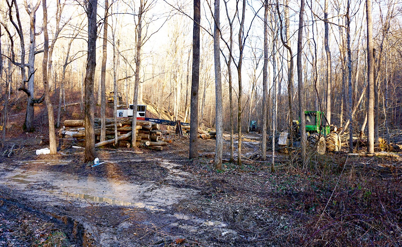 A Hike on the Tecumseh Trail Now Ends in Destruction - Limestone Post