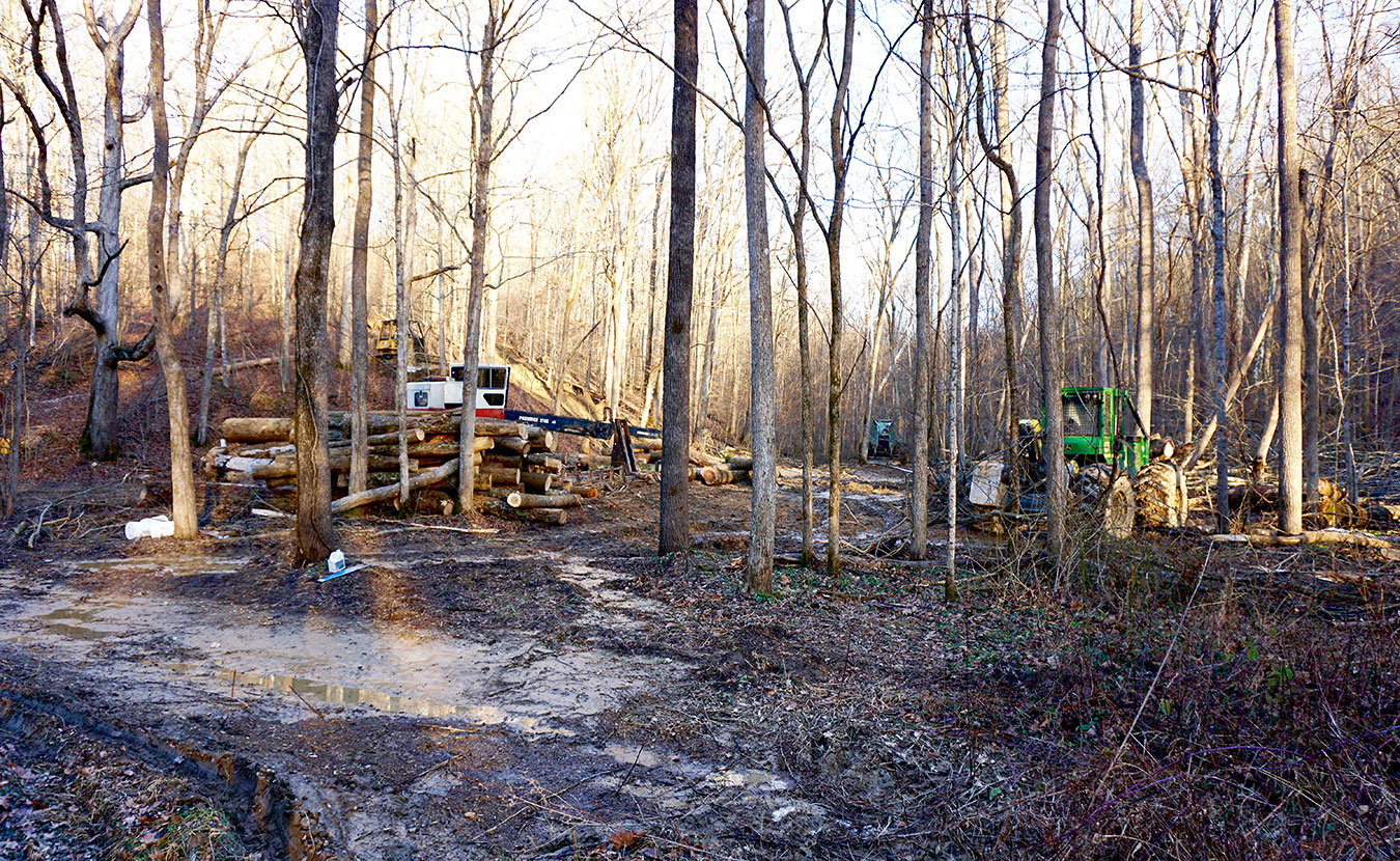 Where once there was a trailhead near Crooked Creek Road on the Tecumseh Trail, Matt Flaherty encountered logging equipment and a trail in ruin. | Courtesy photo