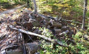 Cathy Greene took this photo of a bone yard on Mill Ridge while hiking the Tecumseh Trail. These trees were not used and were pushed off the logging road where they have been left to rot. | Photo by Cathy Greene