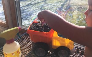 Writer Jared Posey says there are many ways to get kids interested in gardening. One is to make it look less like an adult activity — by using a toy as the garden, for example. | Photo by Katie Posey