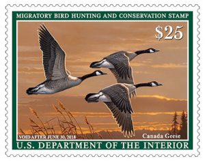 The federal duck stamp can be found at post offices and refuges. It raises money for migratory waterfowl.
