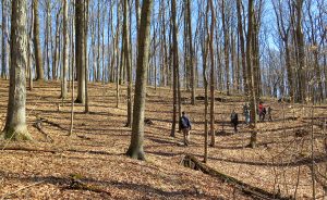 Hikers wander along the trails at Sycamore Land Trust’s Porter West. Writer Jonah Chester describes the preserve as a “diamond in the rough,” with sinkholes, a former composting site, and a cemetery. | Limestone Post