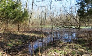 Porter West features a pond along the trail. | Limestone Post
