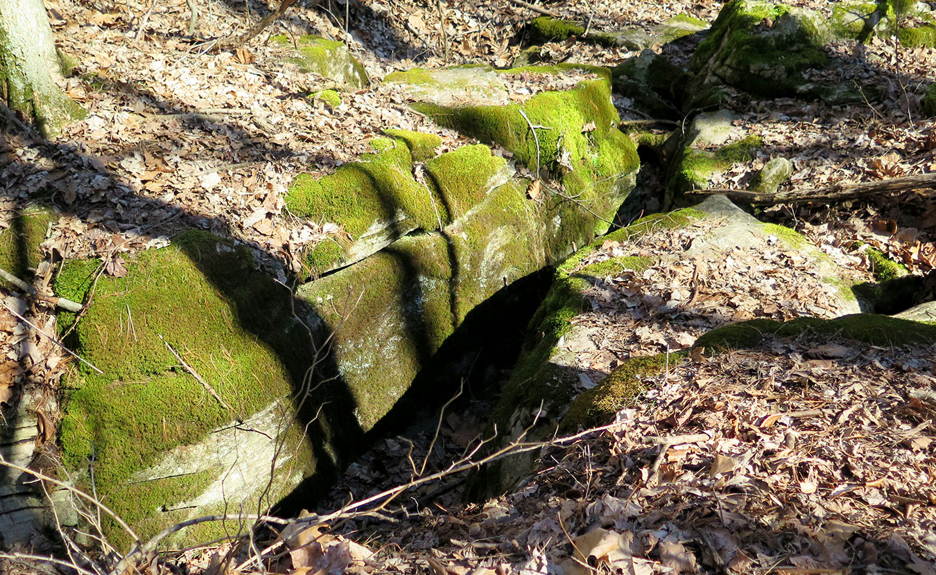 Mossy limestone outcropping can be seen in Porter West. | Limestone Post