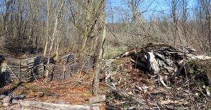 Porter West was once used as a composting site, with remnants still on the property. | Limestone Post