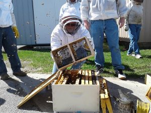 A bee expert puts bees in a deep hive body at the Bedford Bee Intensive in April. | Photo by Marla Bitzer