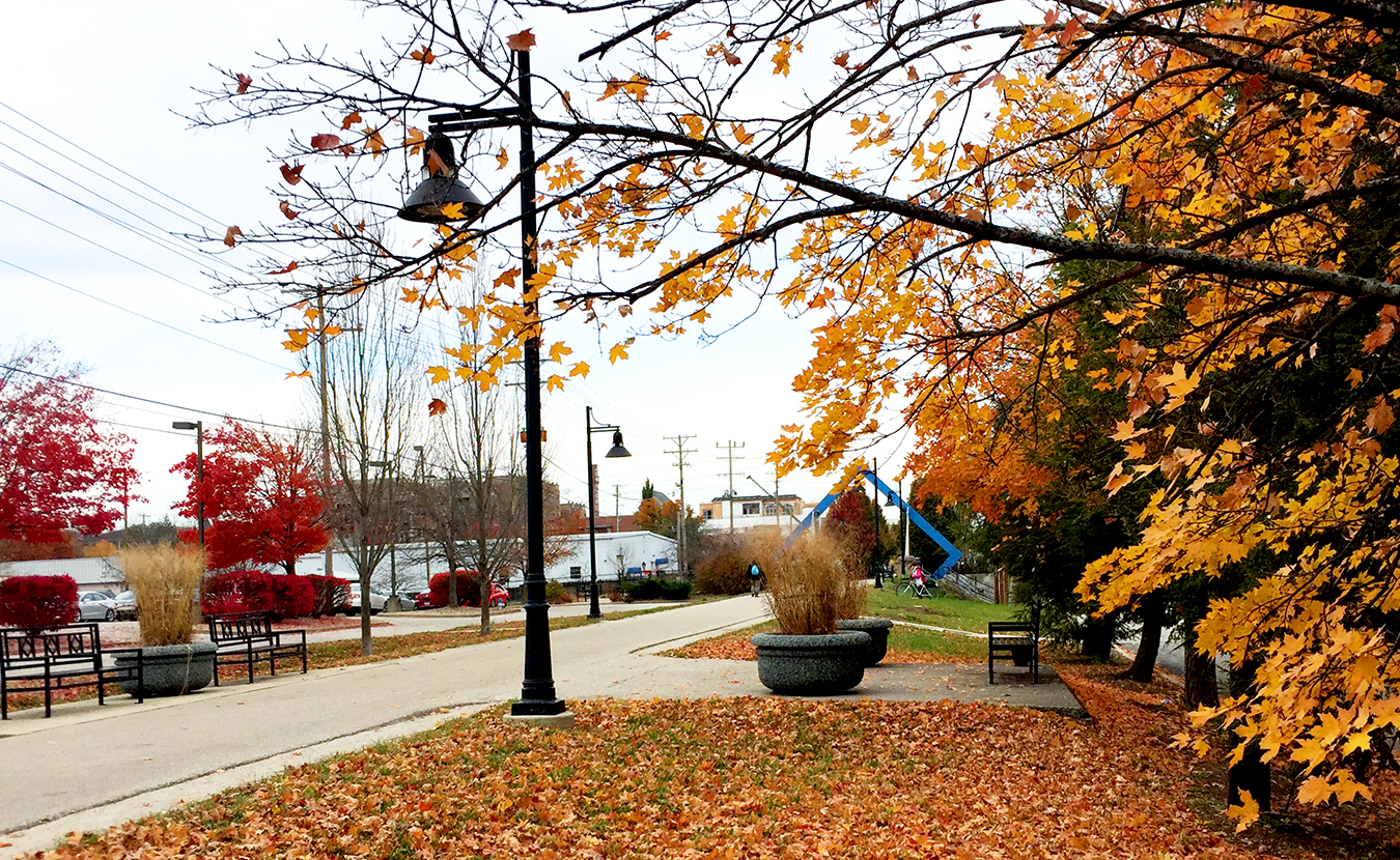 A sea of golden leaves, an old railroad bridge, the chatter of downtown, front porches … these possess “the reality of what Bloomington is,” writes C. D. Culper. In this second of our two feature stories on having a sense of belonging, Culper says everything Bloomington holds dear is held in “the B-Line’s pulse and patterns.” | Limestone Post