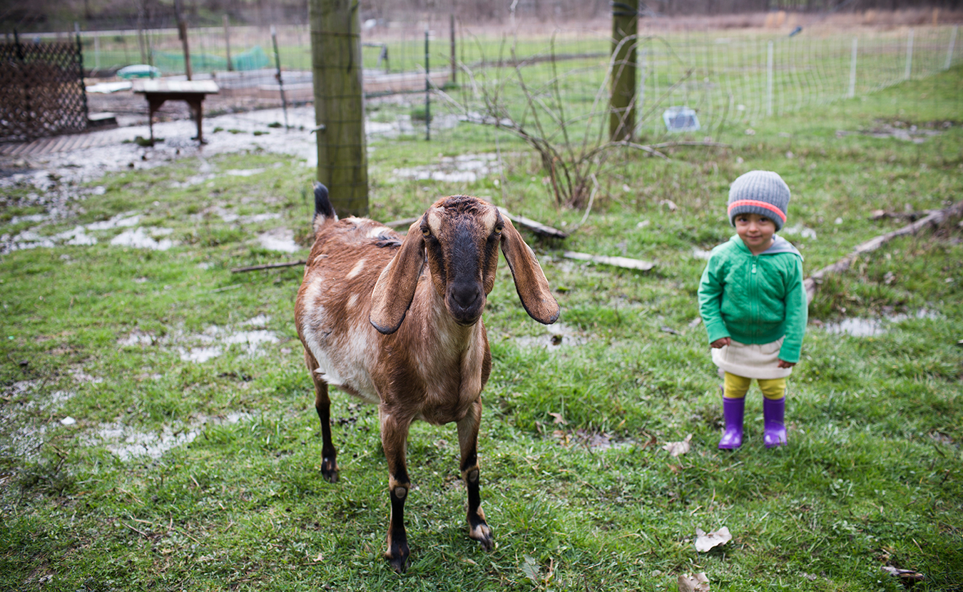 As we approach New Year's, LP takes a look back at our top stories of 2018. This photo appeared in a photo series on local farms in April. Two-year-old Esmé and Little John, a small male goat, pose for a picture on the Barnhouse Farms property. The family has two does, named Meg and Sprinkles, whom they milk for the soap, and Little John, whom they keep as a companion for the does. | Photo by Chaz Mottinger