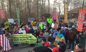 Protesters affiliated with the Indiana Forest Alliance work to protect 300 acres of the Yellowwood State Forest Back Country Area in Brown County in 2017. Since 2012, the Indiana Division of Forestry has increased logging of state forests by 400 percent, says IFA's Anne Laker. | Photo courtesy of the Indiana Forest Alliance