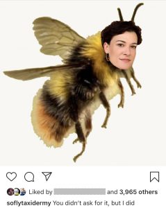 Beckman as a bee. | Courtesy photo