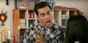 In the sitcom ‘Schitt’s Creek,’ David Rose (Daniel Levy) describes pansexuality to Stevie (Emily Hampshire): ‘I like the wine, not the label.’ (Screenshot)