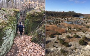 Fern Cliff Nature Preserve and DePauw Nature Park are only 7 miles apart, but neither is typical of the surrounding Putnam County countryside. Walker says Fern Cliff (left) is more like Middle-earth, while DePauw Nature Park (right) might evoke the Arizona desert. | Limestone Post