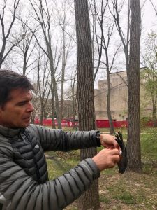 IU’s Alex Jahn, pictured here with an American robin, says birds can be ‘barometers of change, a species indicator to understand how changes are impacting the greater ecosystem.’ | Courtesy photo