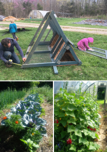 (top) David, Leo, and Alice Lasuertmer turn an old chicken coop into a rabbit hutch at Common Home Farms. (bottom) The garden and greenhouse. | Photos by Laura Lasuertmer