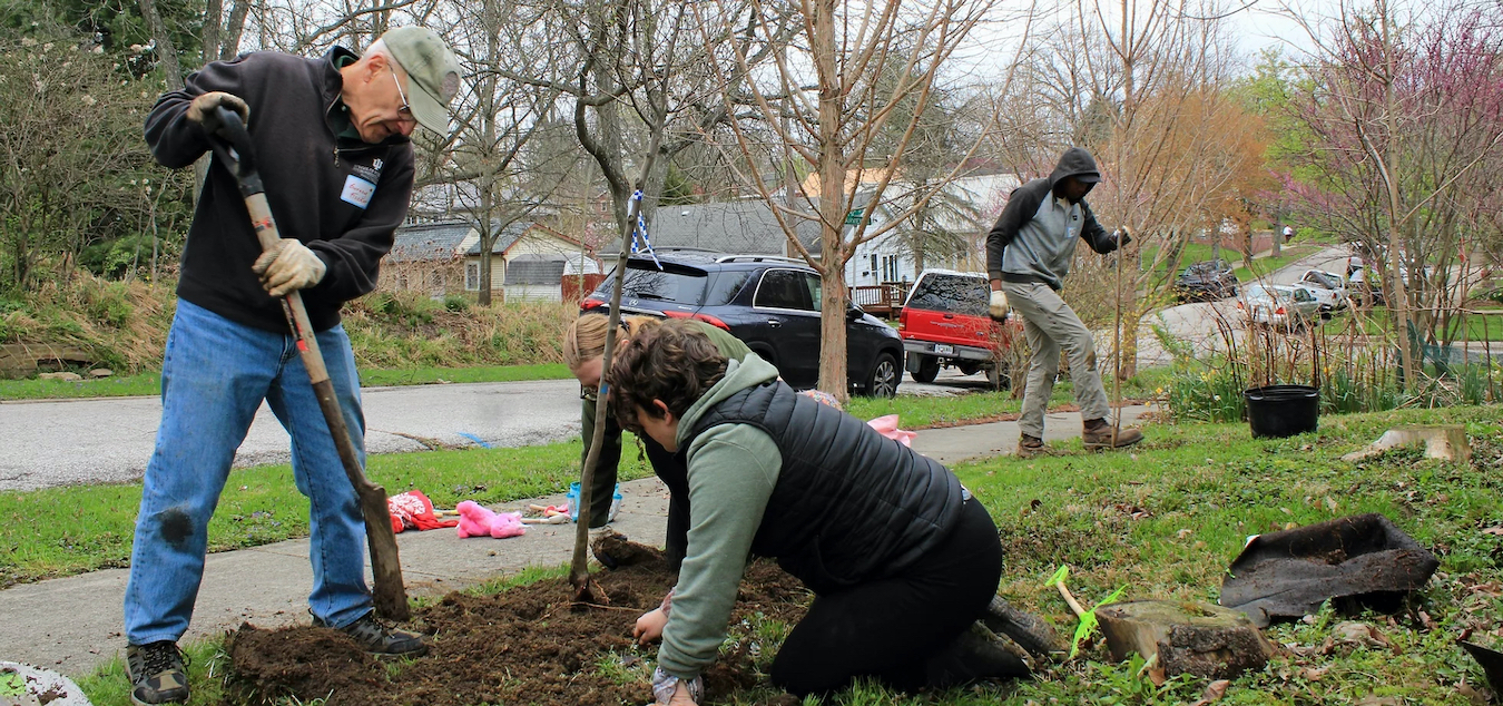 Neighborhoods can host CanopyBloomington for a free tree planting event, and businesses, churches, nonprofits, schools, places of worship, and other businesses can partner with CanopyBloomington for free planting projects. Planting events and projects will be prioritized in target block groups and/or within high and very high priority sites as designated on the. <a href="https://www.canopybloomington.org/" target="_blank">CanopyBloomington website</a>.