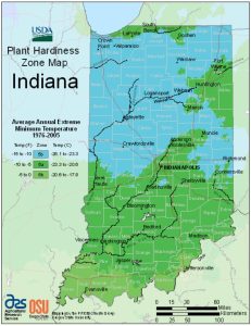 The hardiness zones in Indiana have shifted in the past few decades. Bloomington was in zone 5 prior to 2012 but is now in zone 6a. | Source: <a href="https://planthardiness.ars.usda.gov/pages/view-maps" target="_blank">planthardiness.ars.usda.gov/</a>