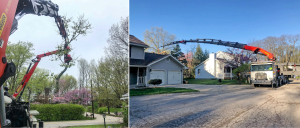 (left) Using multiple cranes protects the removal area from impacts of tree felling. (right) Bluestone Tree’s cranes help keep heavy machinery off of lawns during tree removal.