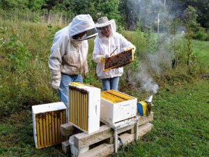 Dave and Erin inspect one of her hives. To the right of the hives is a bee smoker, which is used to calm honey bees. | Photo by Andy Hollinden
