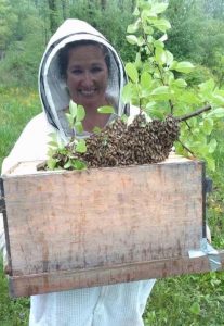 Beekeeper Jennifer Bland introducing a swarm to a hive. | Courtesy photo