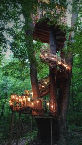 The Pop Top treehouse in West Baden Springs | Courtesy photo