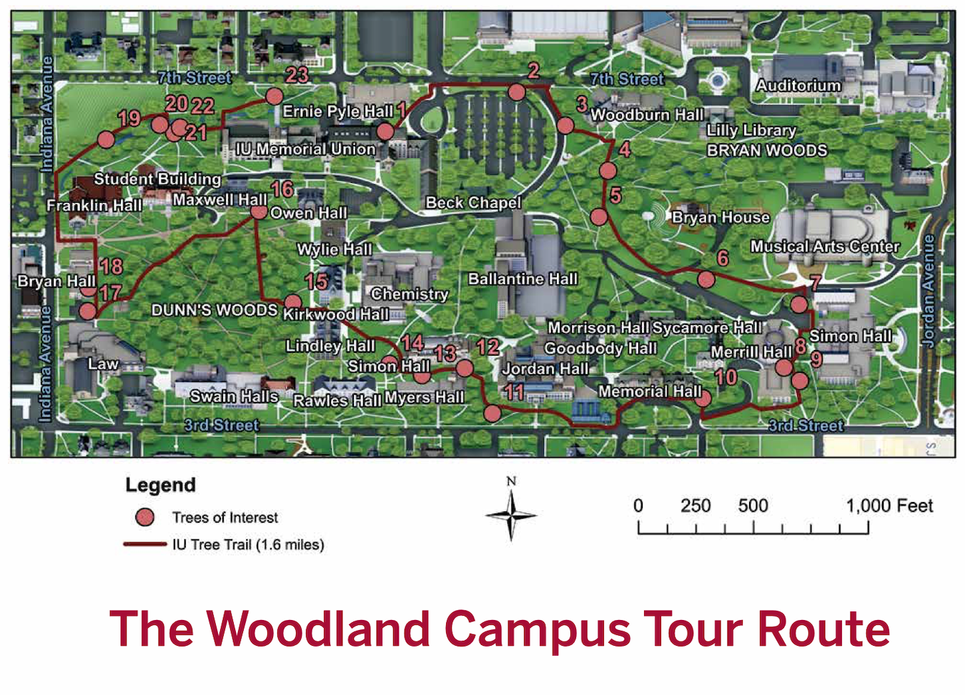 Sarah Mincey, clinical associate professor in the IU O’Neill School of Public and Environmental Affairs, co-authored the brochure “<a href="https://urbanforestry.indiana.edu/outreach/woodland.pdf" target="_blank">The Woodland Campus</a>,” which includes a historic walking guide to IU trees. 