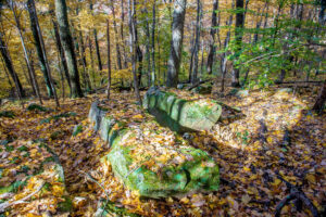 Browning Mountain, November 2018, Digital image | At 925 feet, Browning Mountain is the highest hill in the Hoosier National’s wild complex that includes the Deam, Porter Hollow, and Nebo Ridge. It is nicknamed Indiana’s Stonhenge for the massive stones, some as big as cars, that lie atop the ridge, with no known answer as to how they got there.