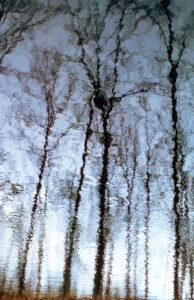 Reflected trees in Nebo Ridge wildlife pond, 1975, Digitized Kodachrome slide | After the U.S. Forest Service proposed a 15,000-acre wilderness for the Hoosier National Forest in 1975, the Indiana Public Interest Research Group (inPIRG) responded with a 32,000-acre Nebo Ridge Wilderness alternative that would have included this wildlife pond in Brown County.