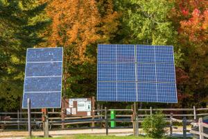 The choice between planting trees or installing solar panels does not have to be a binary one. Through deliberate urban planning, a balance can be cultivated between these sustainable solutions.