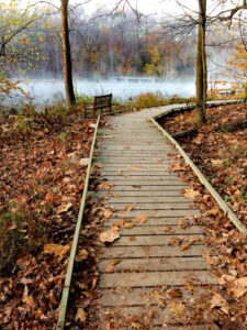 Griffy Walk “The boardwalk that surrounds Griffy Lake in the fall with a little bit of fog on the water.” | Photo by Matt Brookshire
