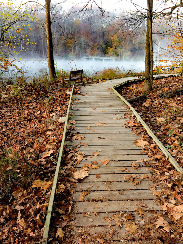 Griffy Walk, “The boardwalk that surrounds Griffy Lake in the fall with a little bit of fog on the water.” | Photo by Matt Brookshire