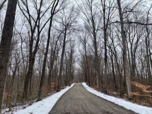 The climb on the road into Morgan-Monroe State Forest, where the route would change from clear road to snowy trails.