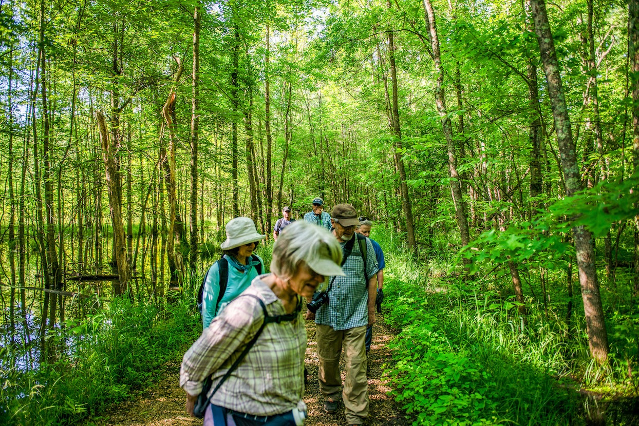 Journalist Steven Higgs “trained” at Beanblossom Bottoms Nature Preserve for a photographic expedition to the Colombian Amazon. Shown here on an Uplands Group Sierra Club hike he led are Amy Henn (front), Mary Carol Reardon (white hat), Will Cowan, and others. | Photography by Steven Higgs