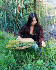 Ash Teng, owner of Blossom & the Bee Tea Co., picks calendula blossoms at the farm run by her and her partner in the Hoosier National Forest. | Photo by Anne Kibbler